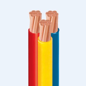 TRIPLEX (TrCV)